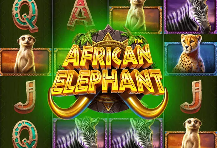 Mrruncasino Bonus Codes und Prämien für neue Spieler