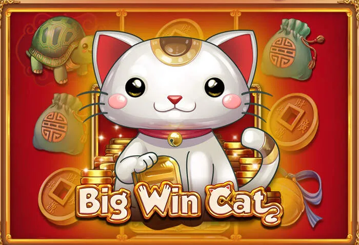 Machines à sous en ligne Mrruncasino