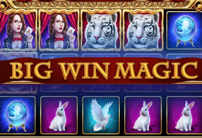 Application mobile: Expérience de Jeu Mobile sur la Plateforme Mrruncasino.